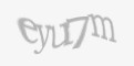 Защитный код